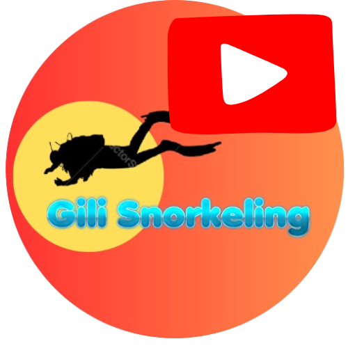 Channel YouTube Gili Ketapang Snorkeling