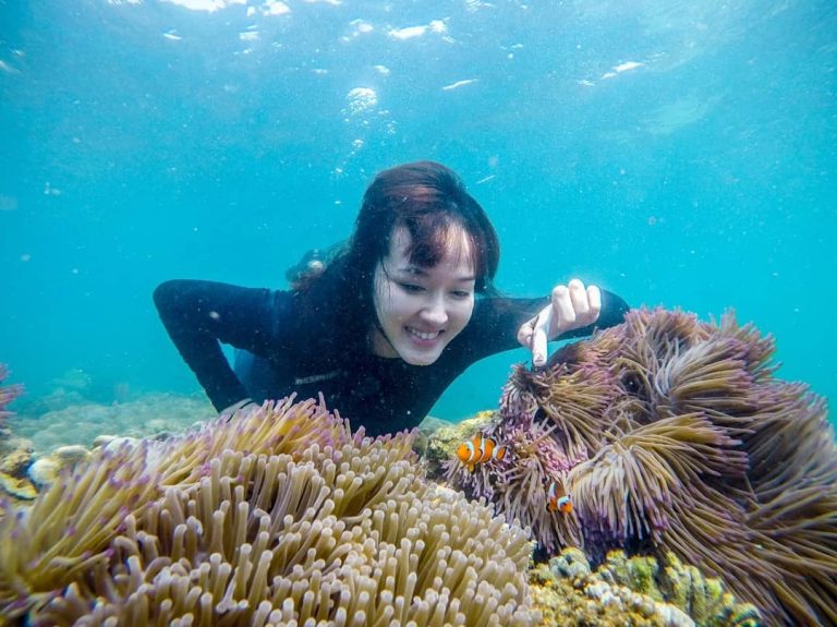 Yah… boleh nunjuk, asal jangan sentuh! Ikan badut tetap ceria di rumah anemonnya, asalkan kita menjaga jarak dengan bijak. Snorkeling di Gili Ketapang tak hanya seru, tapi juga jadi ajang belajar mencintai dan menghargai kehidupan bawah laut tanpa merusaknya.