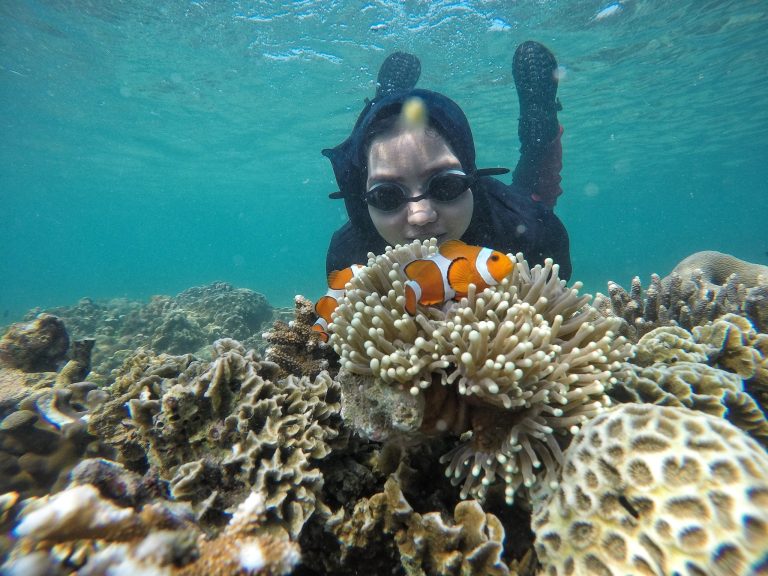 Ikan badut dengan anemon memang sudah tidak dapat dipisahkan. Ikan badut adalah ikan teritorial yang gigih mempertahan wilayahnya dari ikan lain. Selain itu dia dapat berubah kelamin dari jantan ke betina. Betina selalu yang paling besar di lingkungannya.
